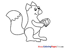 Squirrel Colouring Page printable free