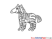 Zebra download printable Coloring Pages