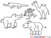 Zoo Animals  Coloring Sheets download free