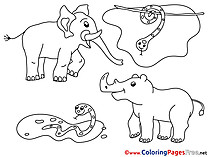 Zoo download Coloring Pages for Kids